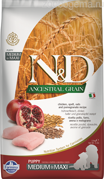 N&D ANCESTRAL GRAIN DOG CHICKEN, SPELT, OATS AND POMEGRANATE PUPPY MEDIUM & MAXI 2.5KG - фото 4753