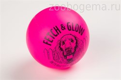 6050 Светящийся мяч  Fetch & Glow. L - фото 5530