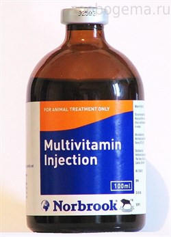 Мультивитамин инъекционный  100 мл - фото 5534