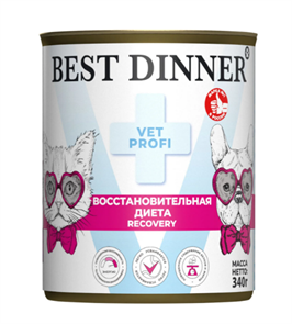 {{productViewItem.photos[photoViewList.activeNavIndex].Alt || productViewItem.photos[photoViewList.activeNavIndex].Description || 'Best Dinner Vet Profi Recovery для кошек и собак при истощении, выздоровлении и послеоперационном восстановлении, 340 гр'}}