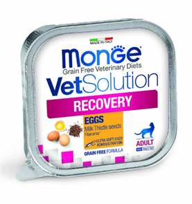 {{productViewItem.photos[photoViewList.activeNavIndex].Alt || productViewItem.photos[photoViewList.activeNavIndex].Description || 'Диетический корм Monge VetSolution Cat Recovery Рекавери для кошек при восстановлении питания в период выздоровления, 100 гр'}}