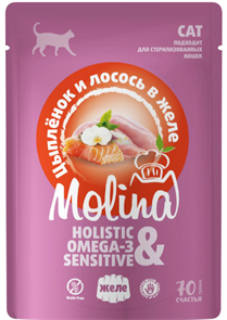 {{productViewItem.photos[photoViewList.activeNavIndex].Alt || productViewItem.photos[photoViewList.activeNavIndex].Description || 'MOLINA Пауч для взрослых кошек цыпленок и лосось в желе, 70 гр'}}