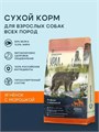 ТерриториЯ Урал Ягнёнок с морошкой для взрослых собак всех пород, 800 гр MZB565136 - фото 13014