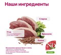 Н&Д Полнорационный сухой корм для взрослых стерилизованных/кастрированных собак мини пород с уткой N&D Quinoa NEUTERED ADULT MINI, 800 гр MZB038623 - фото 13130