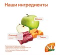 Н&Д Оленина, яблоко и тыква сухой корм для взрослых кошек N&D CAT PUMPKIN VENISON&APPLE ADULT, 300 гр MZB035363 - фото 13298