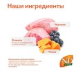 Н&Д  Полнорационный беззерновой сухой корм для собак крупных и гигантских пород с ягненком, черникой и тыквой N&D Pumpkin LAMB & BLUEBERRY ADULT MAXI GIANT,12 кг MZB040183 - фото 13310