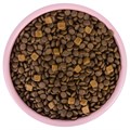 Сухой корм Wanpy Cat беззерновой с курицей для котят, 500 гр MZB825135 - фото 14010