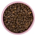 Сухой корм Wanpy Cat беззерновой с лососем для взрослых кошек, 1.5 кг MZB825128 - фото 14018
