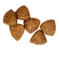 Сухой корм Wanpy Dog беззерновой с курицей для взрослых собак, 1.5 кг MZB823056 - фото 14149