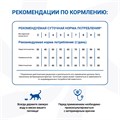 Monge VetSolution Cat Gastrointestinal диета для кошек Интестинал, 400 гр MZB081504 - фото 14352
