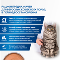 Диетический корм Monge VetSolution Cat Recovery Рекавери для кошек при восстановлении питания в период выздоровления, 100 гр MZB014656 - фото 14427