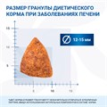 Диетический корм Monge VetSolution Dog Hepatic Гепатик для собак при заболеваниях печени, 2 кг MZB081177 - фото 14446