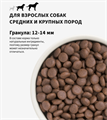АКЦИЯ -20%! GRANDORF DOG Turkey MED&MAXI индейка для собак средних и крупных пород, 1 кг ZB851140_20 - фото 14714