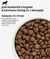GRANDORF Fresh DOG JUNIOR Lamb&Sweet Potato Свежее мясо ягненка с бататом для юниоров, 3 кг MZB852727 - фото 14757