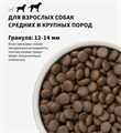 GRANDORF DOG 4 Meat PROBIOTIC MED&MAXI 4 мяса с пробиотиками для собак средних и крупных пород, 1 кг. MZB851119 - фото 14817