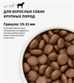 GRANDORF Fresh Dog Adult MAXI Salmon&Sweet Potato Свежее филе лосося с бататом для собак крупных пород, 3 кг MZB853281 - фото 14841