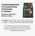 GRANDORF Fresh Dog Adult MAXI Salmon&Sweet Potato Свежее филе лосося с бататом для собак крупных пород, 3 кг MZB853281 - фото 14842