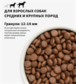 GRANDORF Fresh Dog Adult MED&MAXI Salmon&Sweet Potato Свежее филе лосося с бататом для собак средних и крупных пород, 1 кг MZB852918 - фото 14869