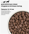 GRANDORF Fresh Dog Adult MED&MAXI Duck&Sweet Potato Свежее мясо утки с бататом для собак средних и крупных пород, 3 кг MZB852956 - фото 14877