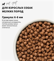GRANDORF Fresh Dog Adult MINI Salmon&Sweet Potato Свежее филе лосося с бататом для собак мелких пород, 1 кг MZB852819 - фото 14881