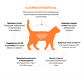 GRANDORF VETERINARY DIET TURKEY Полнорационный диетический сухой корм для кошек с индейкой при острых расстройствах пищеварения, 2 кг MZB853151 - фото 15184