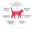 GRANDORF VETERINARY DIET TURKEY HEPATIC полнорационный диетический корм для кошек для поддержания функции печени при хронической печеночной недостаточности, 2 кг MZB853274 - фото 15195