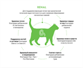 GRANDORF VETERINARY DIET TURKEY RENAL полнорационный диетический сухой корм для кошек с индейкой для поддержания функции почек при временной или хронической почечной недостаточности, 400 гр MZB853182 - фото 15215