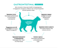 GRANDORF VETERINARY DIET TURKEY GASTROINTESTINAL MODERATE CALORIE полнорационный диетический сухой корм с индейкой для кошек при гиперлипидемии и острых расстройствах пищеварения, 2 кг MZB853175 - фото 15221