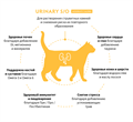 GRANDORF VETERINARY DIET TURKEY URINARY S/O MODERATE CALORIE полнорационный диетический сухой корм для кошек с лишним весом для растворения струвитных камней и снижения риска их повторного образования, индейка, 2 кг MZB853236 - фото 15238