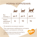 Мнямс хрустящие подушечки для кошек с курицей и сыром "Здоровье и активность", 60 гр MZB700019 - фото 15762