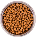 Monge Cat BWild GRAIN FREE беззерновой корм из мяса буйвола для крупных кошек всех возрастов, 1.5 кг MZB012065 - фото 16144