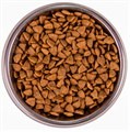 Сухой корм Monge Cat BWild GRAIN FREE для взрослых кошек беззерновой из трески, 1.5 кг MZB012058 - фото 16155