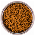 Monge Cat корм для взрослых кошек с лососем, 1.5 кг MZB005517 - фото 16166