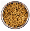 Monge Cat Monoprotein корм для котят с говядиной, 1.5 кг MZB011976 - фото 16200